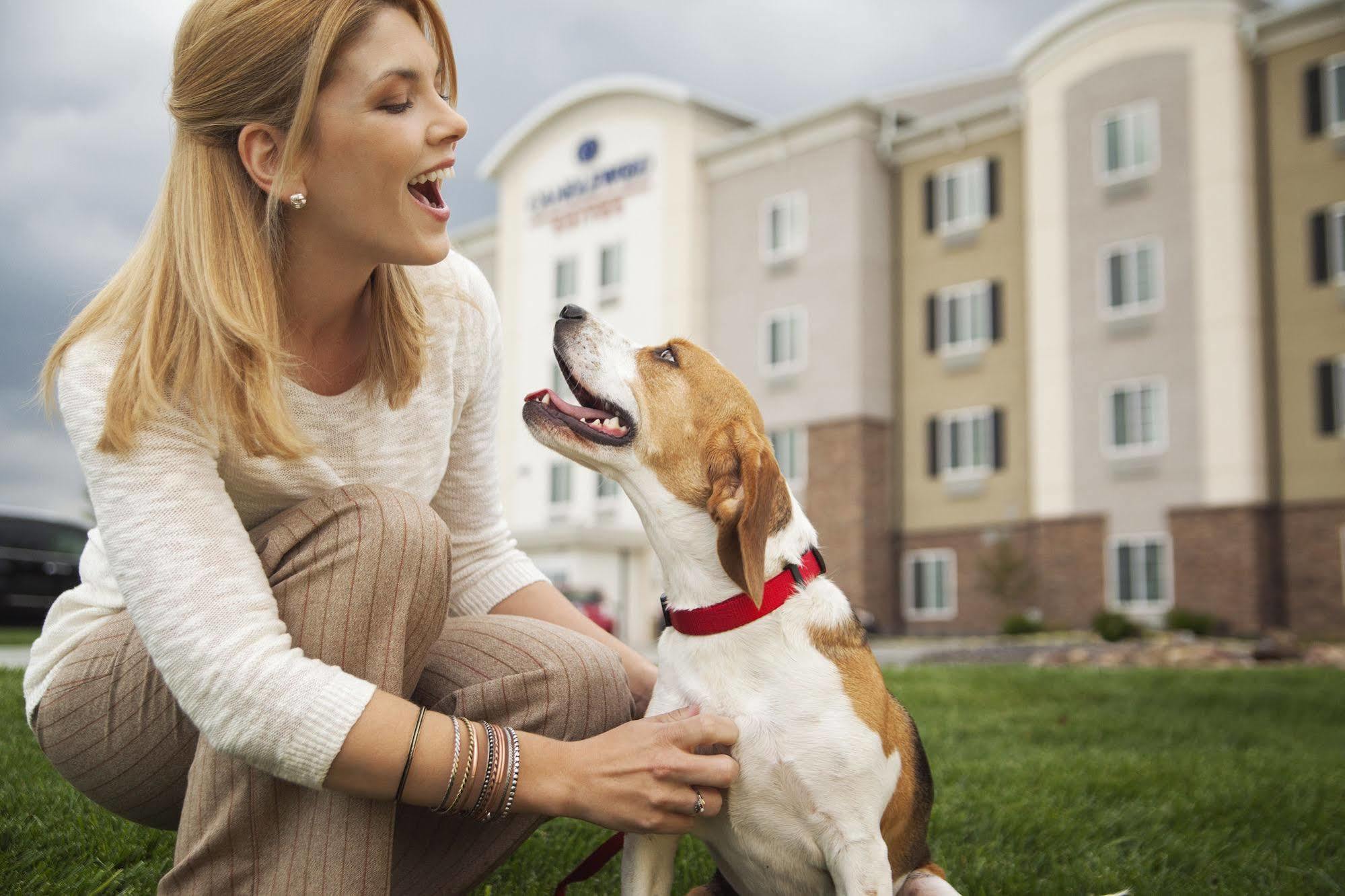 Sonesta Simply Suites Arlington Dış mekan fotoğraf